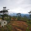 Lote en San Ramón-Espectacular Vista. JRC80 - Imagen 3