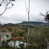 Lote en San Ramón-Espectacular Vista. JRC80 - Imagen 4
