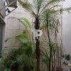 Comercial Clínica y Apartamentos en San Francisco de Heredia JCZS03 - Imagen 5