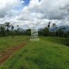Finca Hermosa en San Carlos. JRC436 - Imagen 4