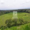 Finca Hermosa en San Carlos. JRC436 - Imagen 6