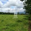 Finca Hermosa en San Carlos. JRC436 - Imagen 7