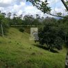 Finca Hermosa en San Carlos. JRC436 - Imagen 11