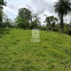 Finca Hermosa en San Carlos. JRC436