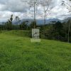 Finca Hermosa en San Carlos. JRC436 - Imagen 13