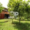Quinta en Rio Cuarto de San Carlos, Alajuela. SCG11 - Image 10