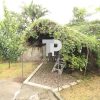 Propiedad con 2 Casas y Amplio Lote Mercedes Norte, Heredia SCG37 - Image 26