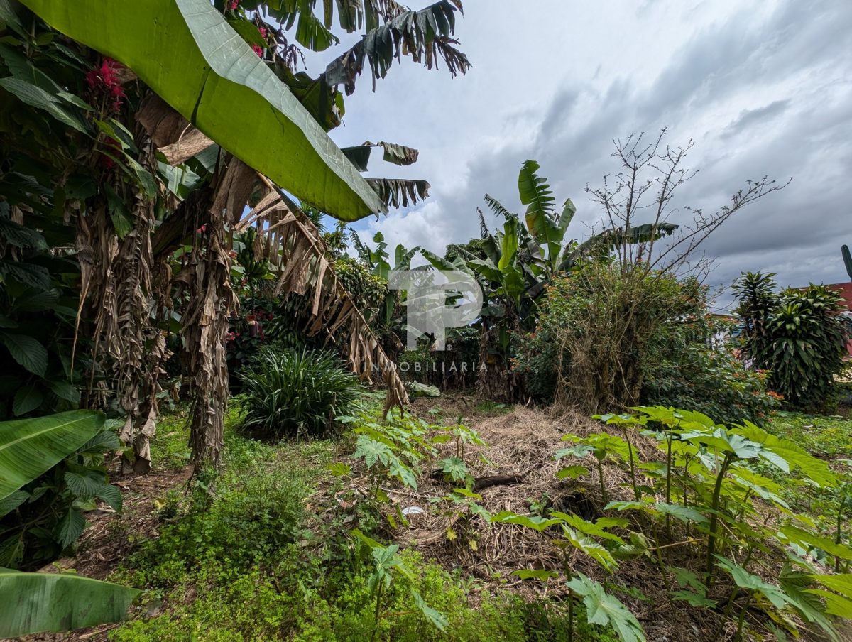 Amplio Lote con Casa en San Isidro de Heredia SCG15 - Image 8