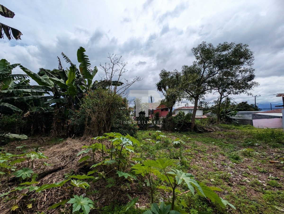 Amplio Lote con Casa en San Isidro de Heredia SCG15 - Image 9