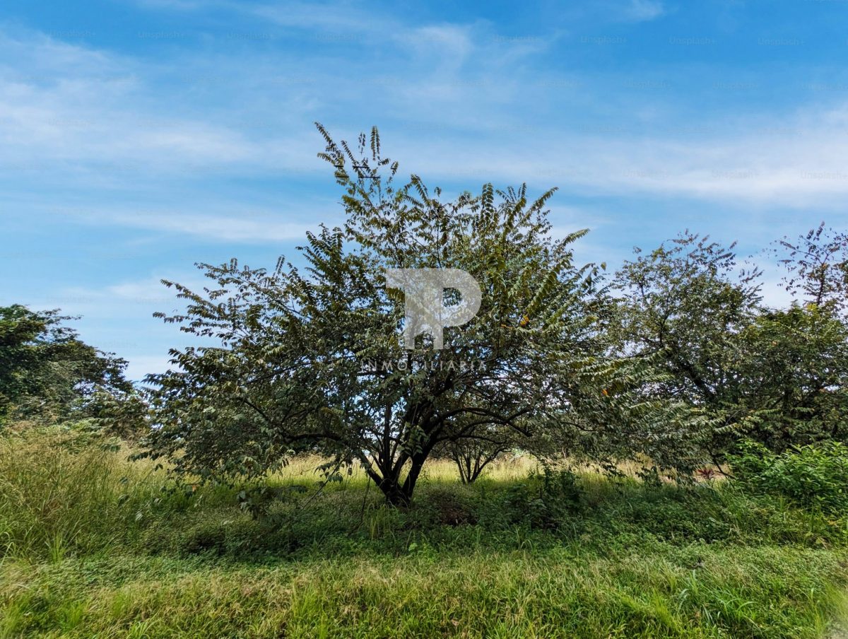 Lote en El Coyolar de Orotina, Alajuela SCG34