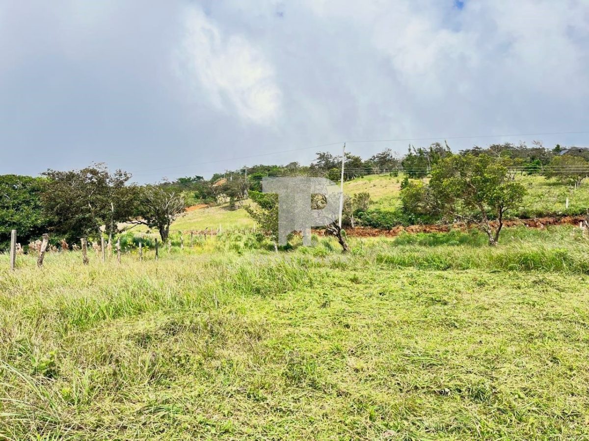 Lote en Piedades Sur de San Ramon, Alajuela SCG42 - Image 2