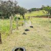 Lote en Piedades Sur de San Ramon, Alajuela SCG42 - Imagen 4