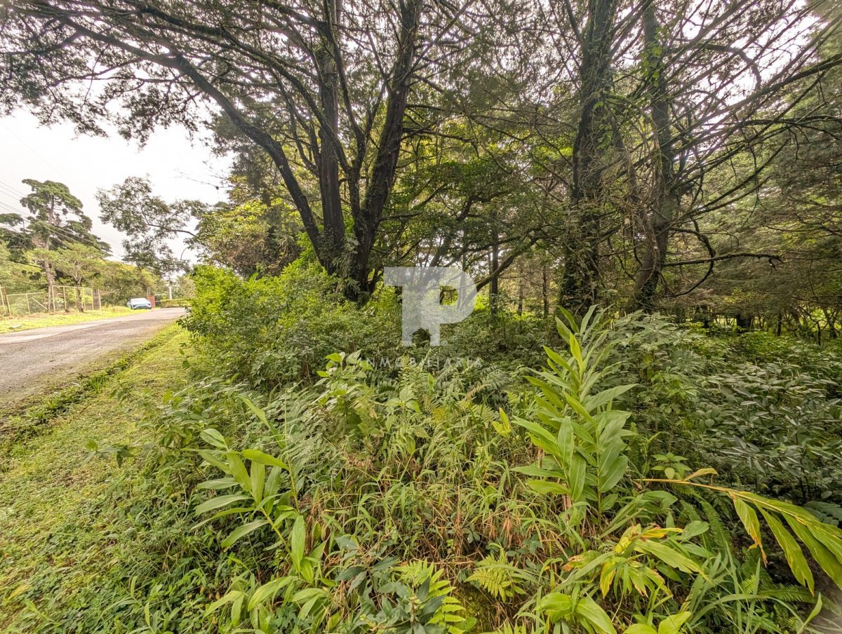 Lote en Los Ángeles de San Rafael, Heredia. SCJA44 - Image 10