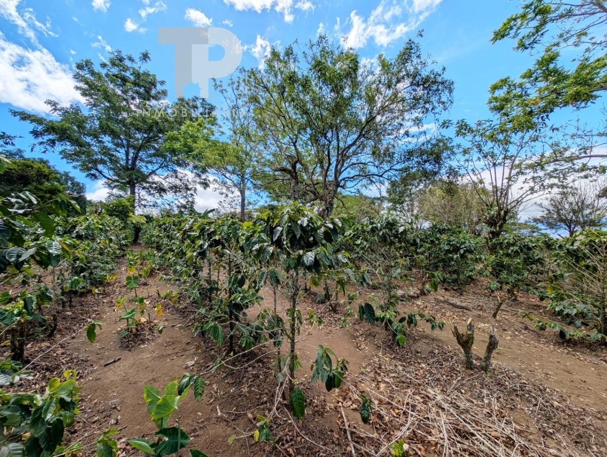 Finca en Birrí de Santa Bárbara de Heredia SCZS15 - Imagen 4