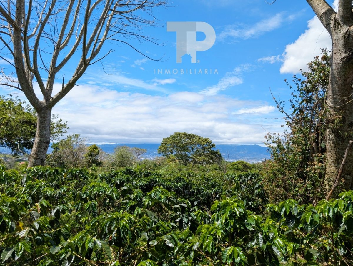 Finca en Birrí de Santa Bárbara de Heredia SCZS15 - Imagen 5