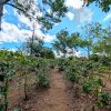 Finca en Birrí de Santa Bárbara de Heredia SCZS15 - Imagen 7