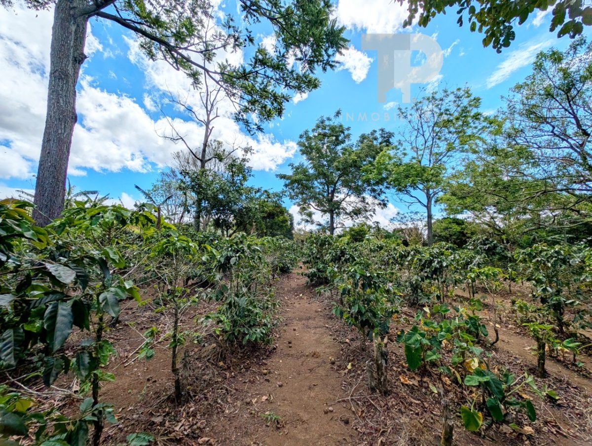 Finca en Birrí de Santa Bárbara de Heredia SCZS15 - Imagen 7