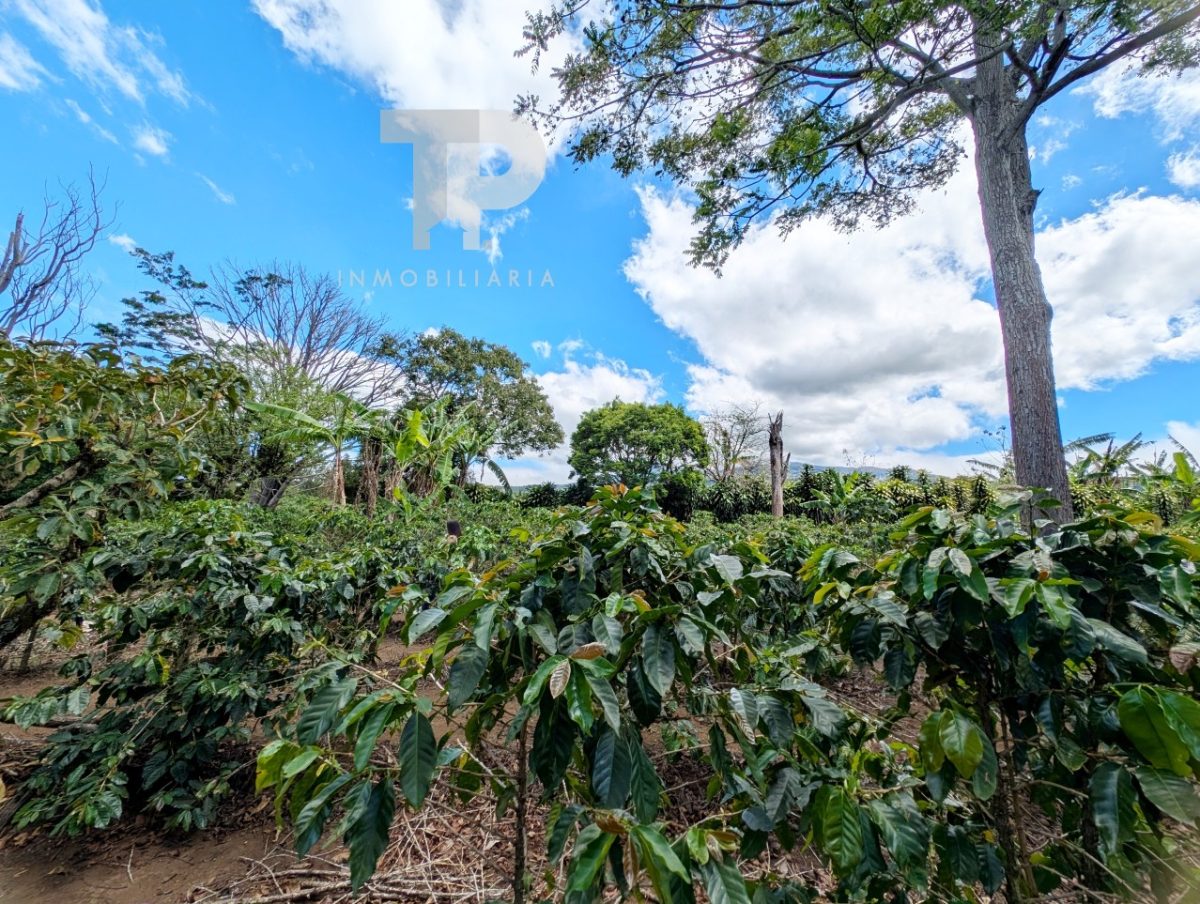 Finca en Birrí de Santa Bárbara de Heredia SCZS15 - Imagen 9