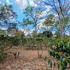 Finca en Birrí de Santa Bárbara de Heredia SCZS15 - Imagen 10