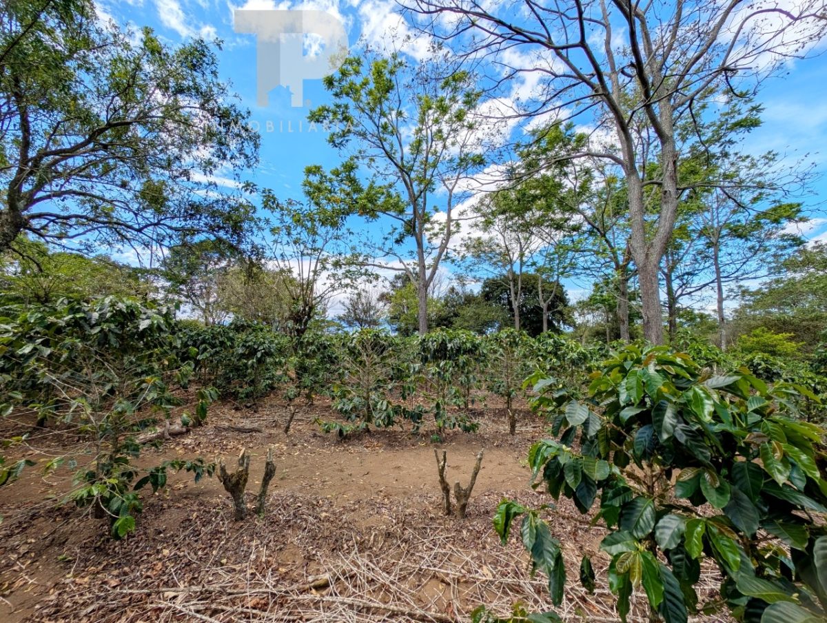 Finca en Birrí de Santa Bárbara de Heredia SCZS15 - Imagen 10