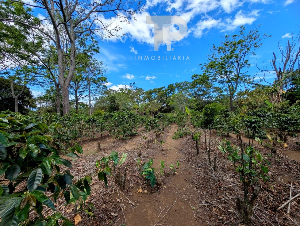Finca en Birrí de Santa Bárbara de Heredia SCZS15 - Imagen 14