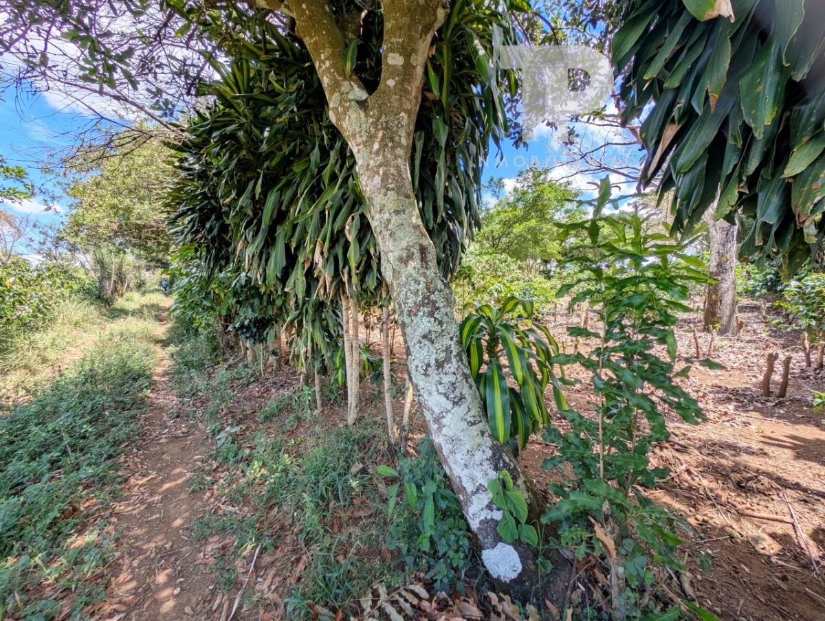 Finca en Birrí de Santa Bárbara de Heredia SCZS15 - Imagen 16