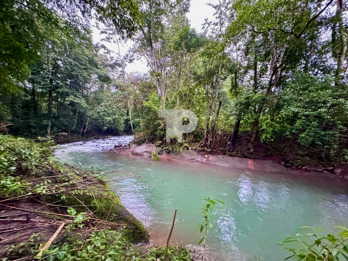 Lote en Chachagua Camino La Fortuna de San Carlos, Alajuela. JRSC45 - Imagen 2