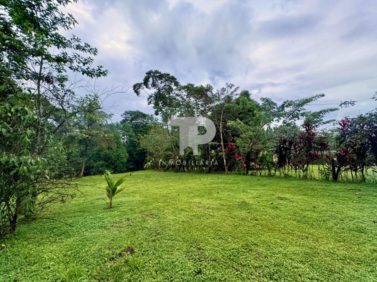 Lote en Chachagua Camino La Fortuna de San Carlos, Alajuela. JRSC45 - Imagen 4