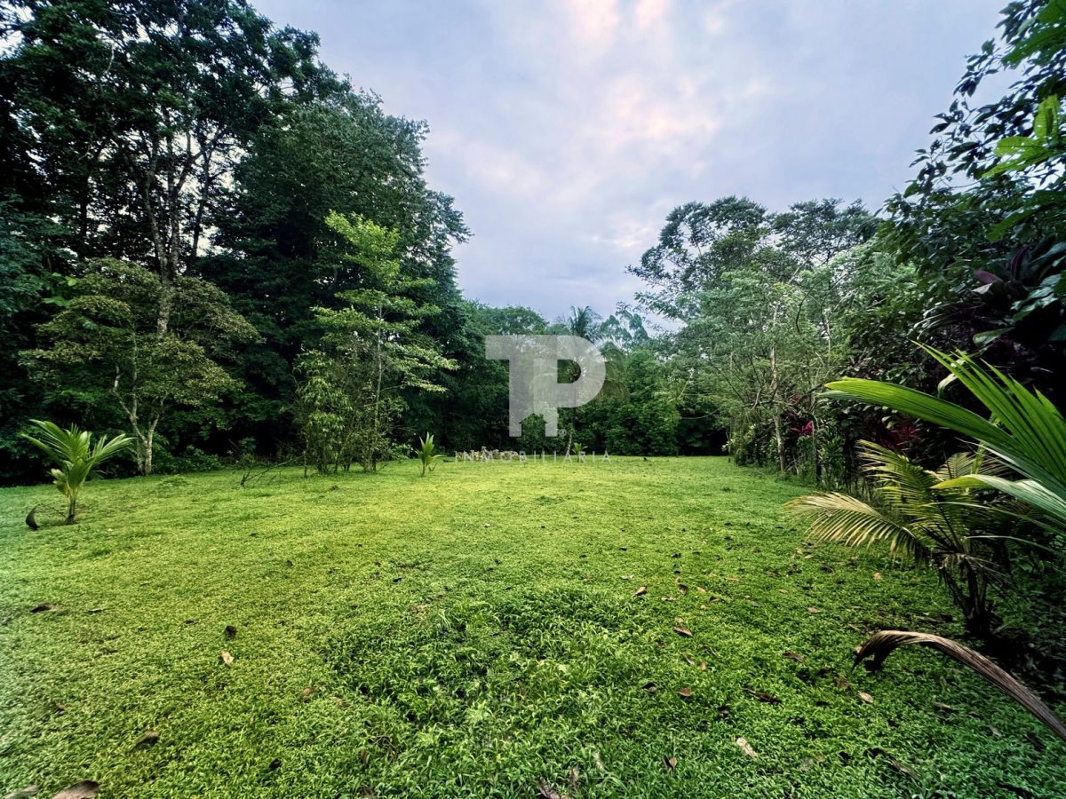 Lote en Chachagua Camino La Fortuna de San Carlos, Alajuela. JRSC45 - Imagen 5