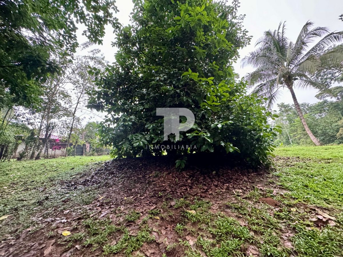 Lote en Chachagua Camino La Fortuna de San Carlos, Alajuela. JRSC45 - Imagen 6