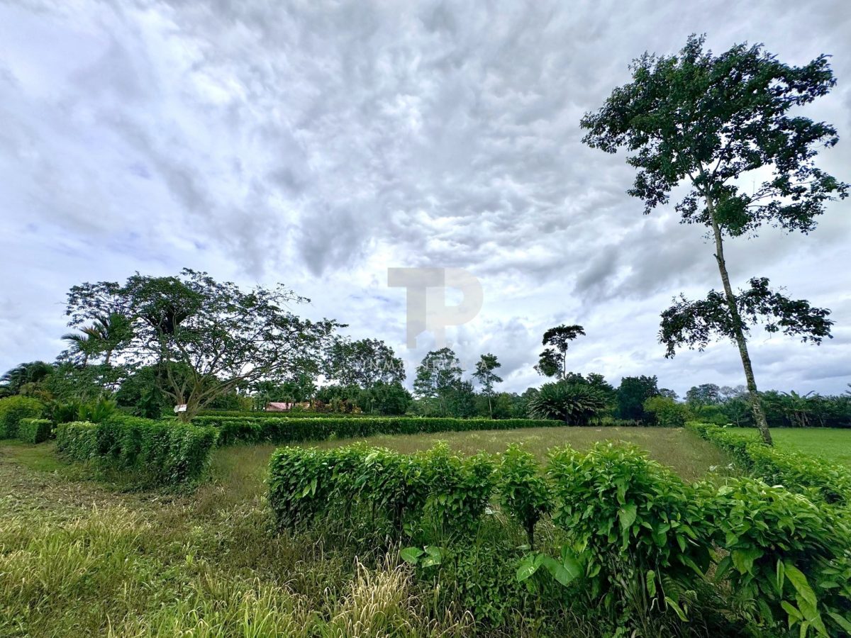 Lote en La Fortuna de San Carlos, Alajuela. JRSC43 - Imagen 6