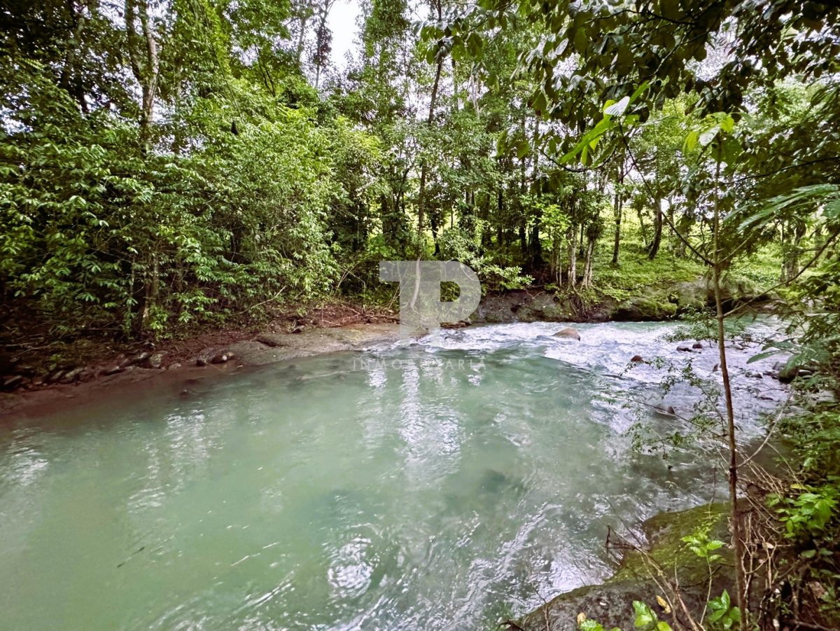 Lote en Chachagua Camino La Fortuna de San Carlos, Alajuela. JRSC45 - Imagen 7