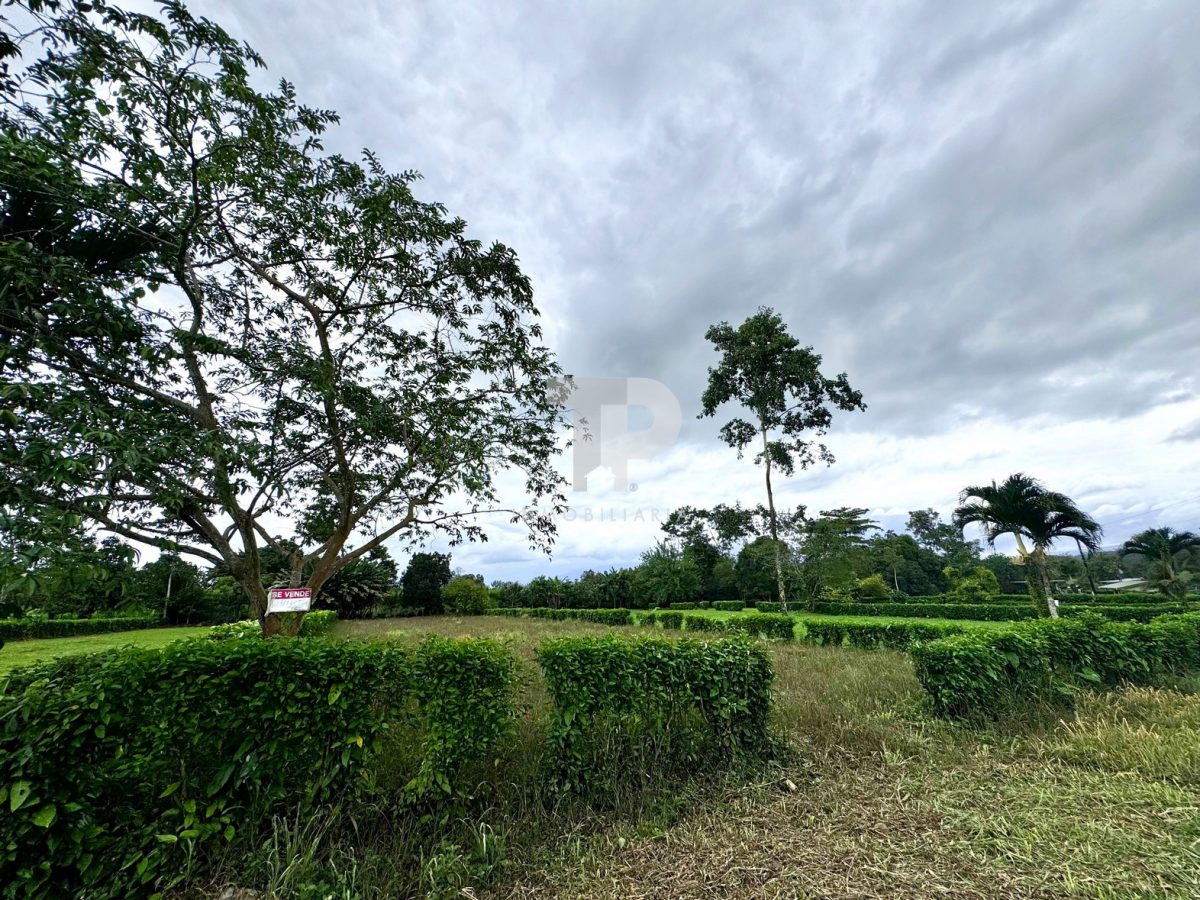 Lote en La Fortuna de San Carlos, Alajuela. JRSC43 - Imagen 7
