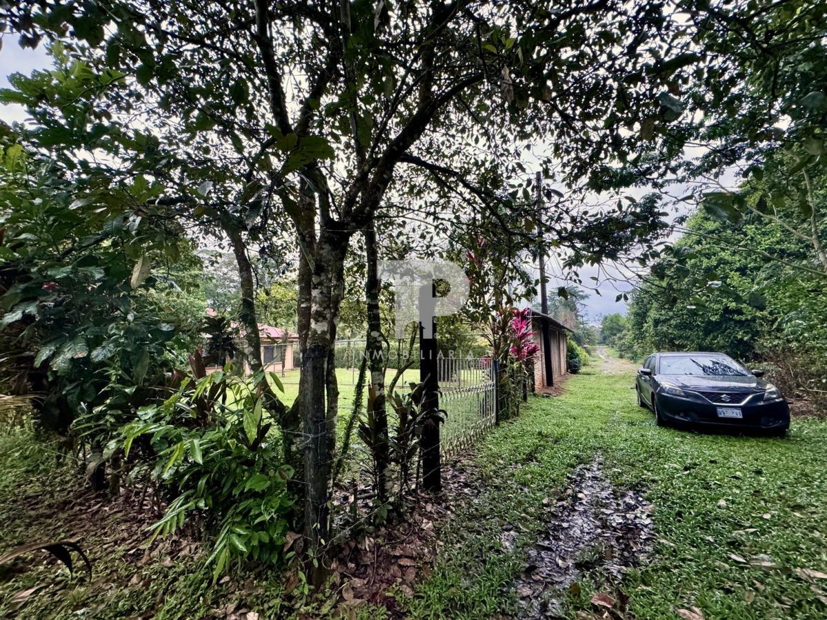 Lote en Chachagua Camino La Fortuna de San Carlos, Alajuela. JRSC45 - Imagen 8