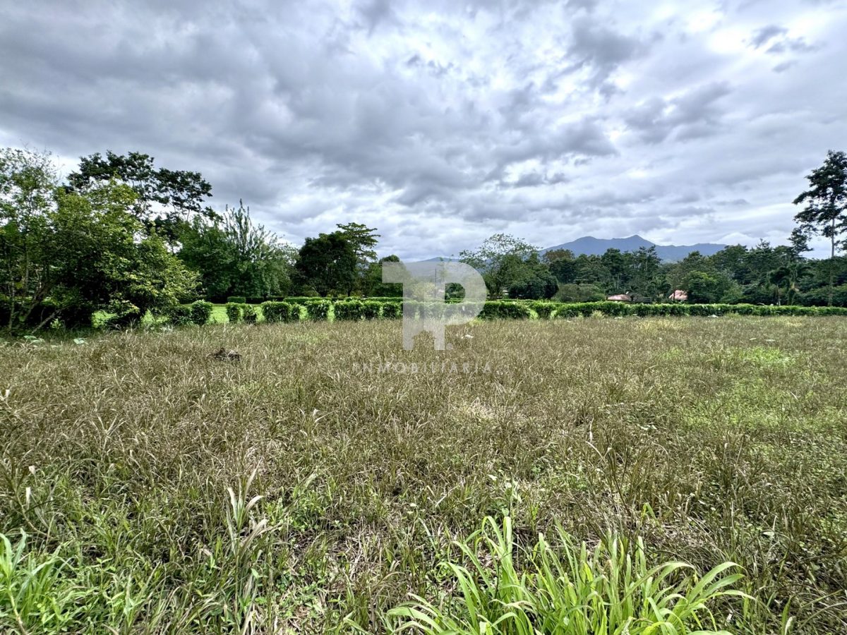 Lote en La Fortuna de San Carlos, Alajuela. JRSC43 - Imagen 10