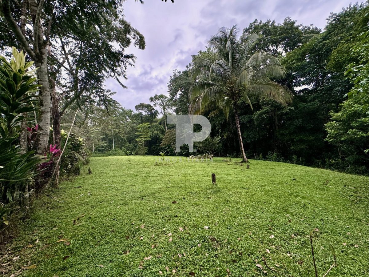 Lote en Chachagua Camino La Fortuna de San Carlos, Alajuela. JRSC45 - Imagen 11