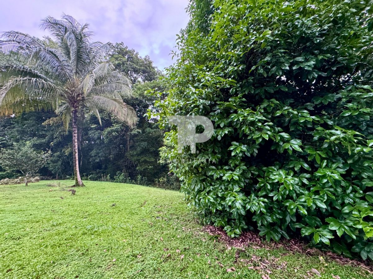 Lote en Chachagua Camino La Fortuna de San Carlos, Alajuela. JRSC45 - Imagen 12