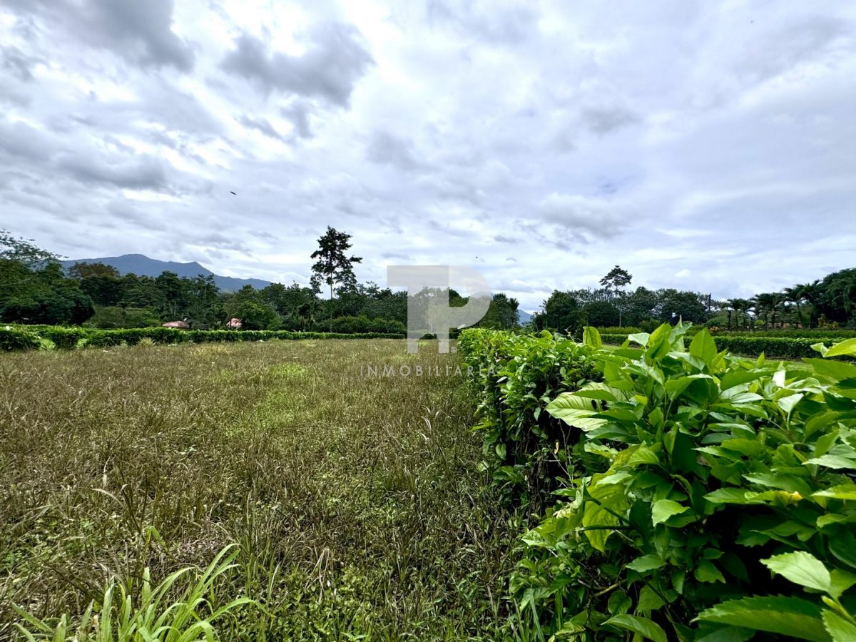 Lote en La Fortuna de San Carlos, Alajuela. JRSC43 - Imagen 14