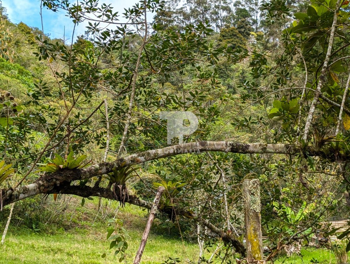 Terreno en El Guarco de Cartago. JRSC39 - Imagen 16