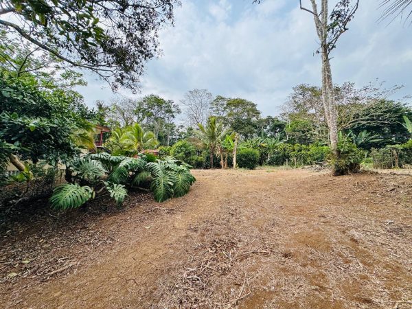 Lote en Piedades Norte de San Ramon, Alajuela SCG53