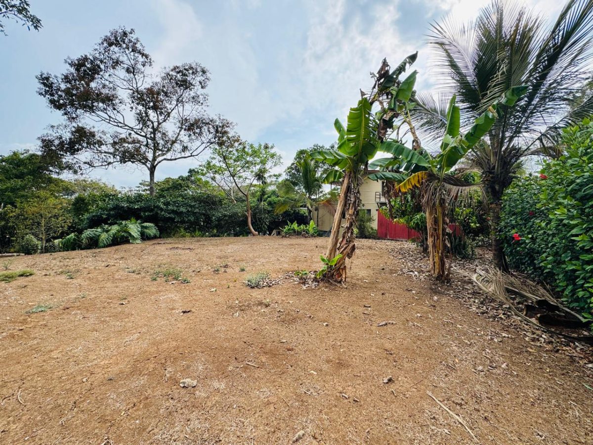 Lote en Piedades Norte de San Ramon, Alajuela SCG53 - Imagen 10