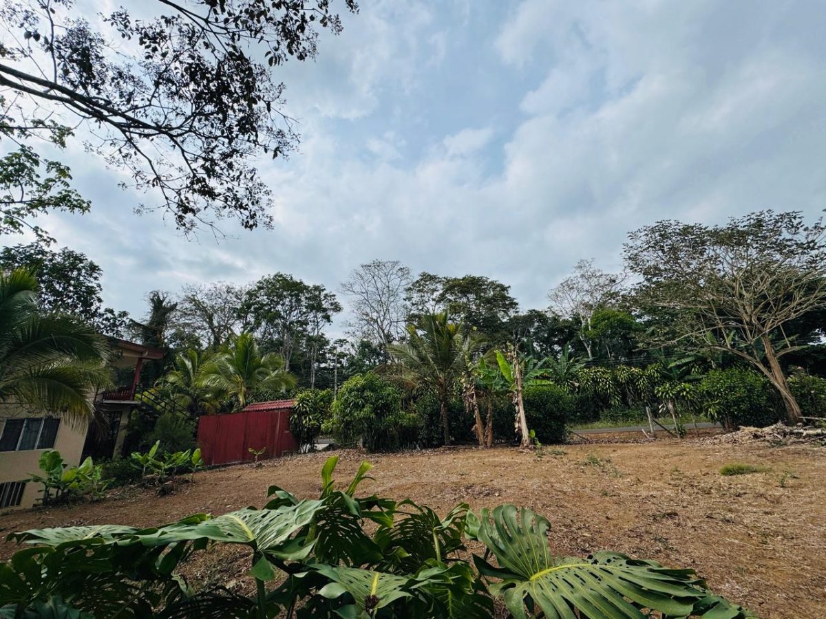 Lote en Piedades Norte de San Ramon, Alajuela SCG53 - Imagen 12