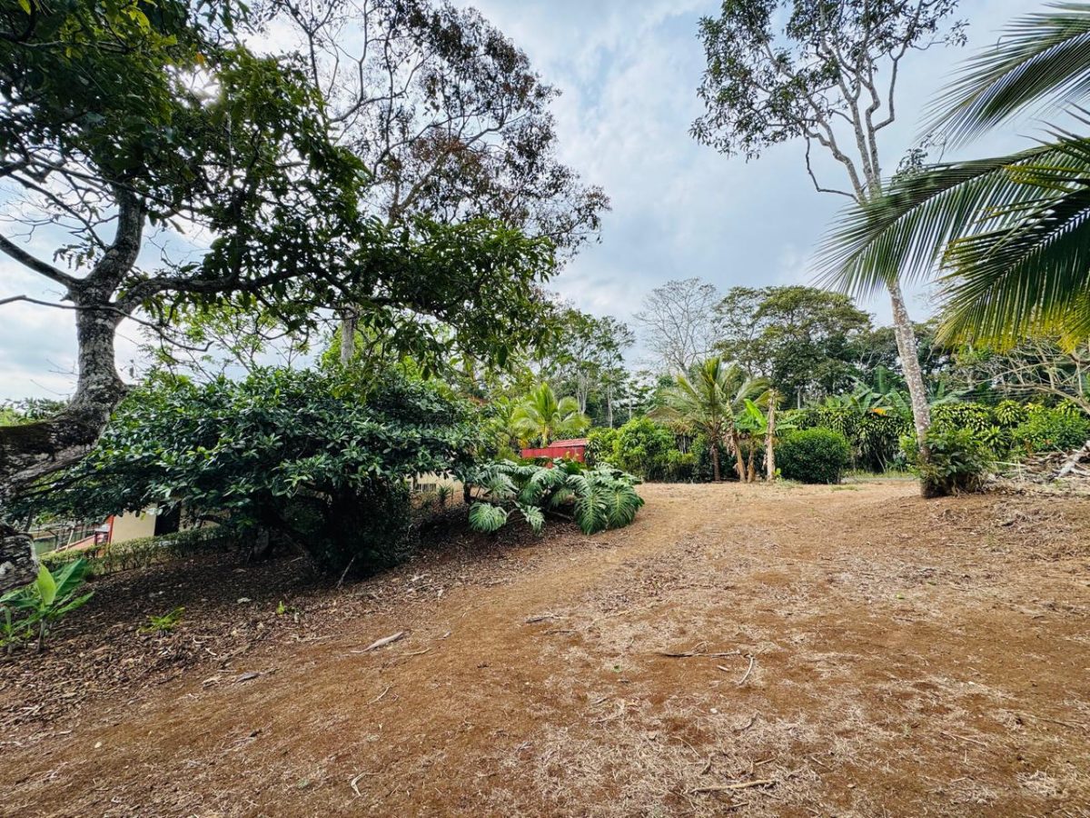 Lote en Piedades Norte de San Ramon, Alajuela SCG53 - Imagen 13