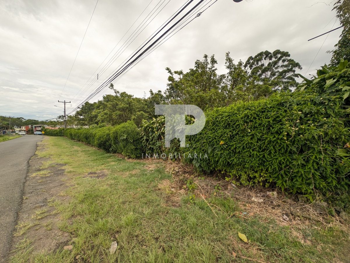 Terreno Entre San Pablo y Santo Domingo de Heredia SCG32 - Imagen 3