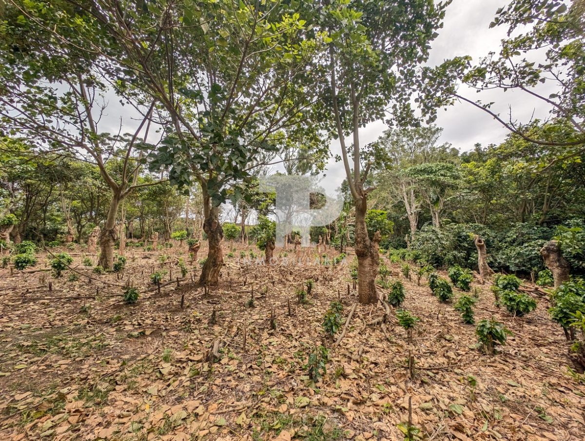 Terreno Entre San Pablo y Santo Domingo de Heredia SCG32 - Imagen 13