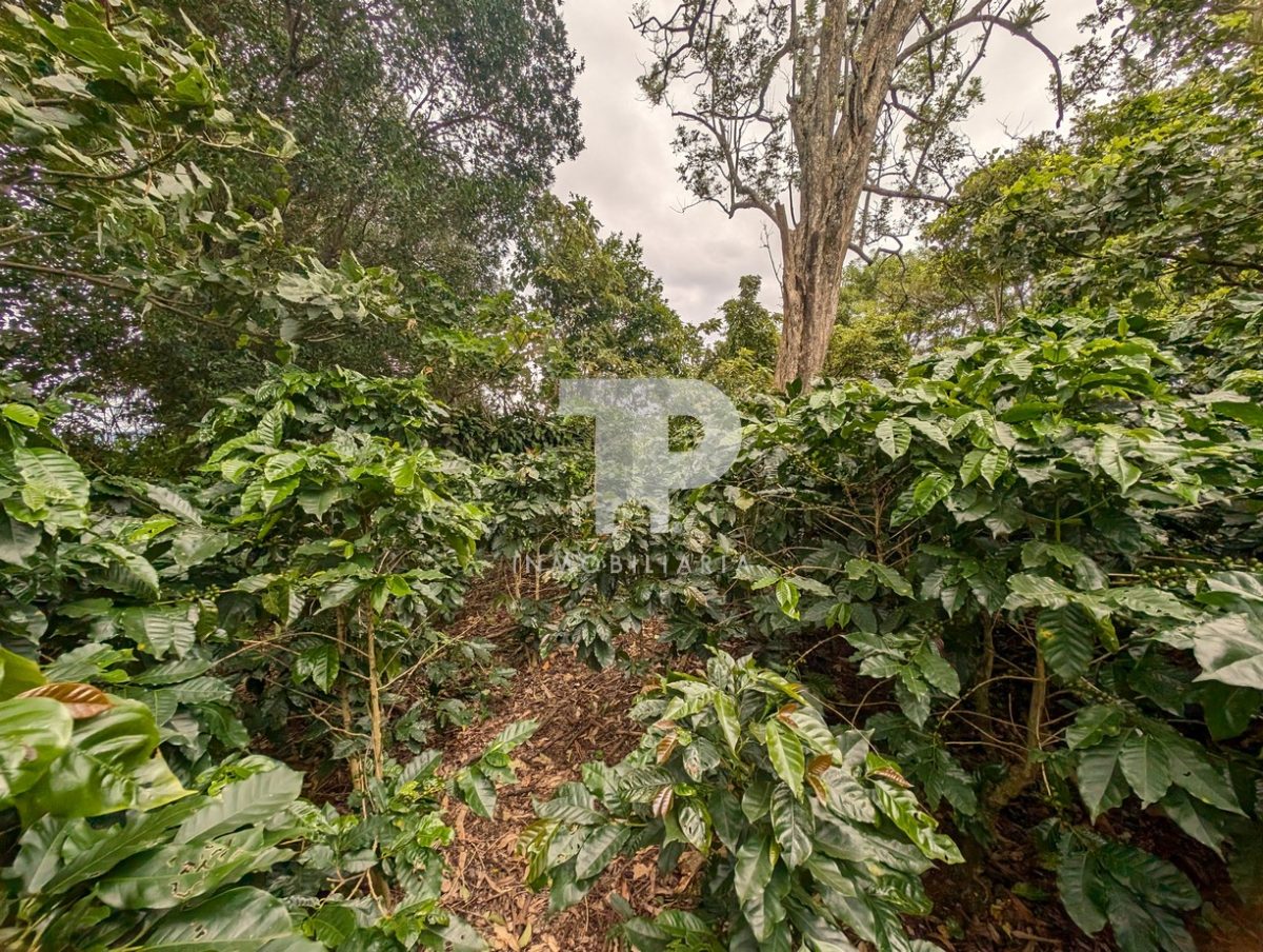 Terreno Entre San Pablo y Santo Domingo de Heredia SCG32 - Imagen 16