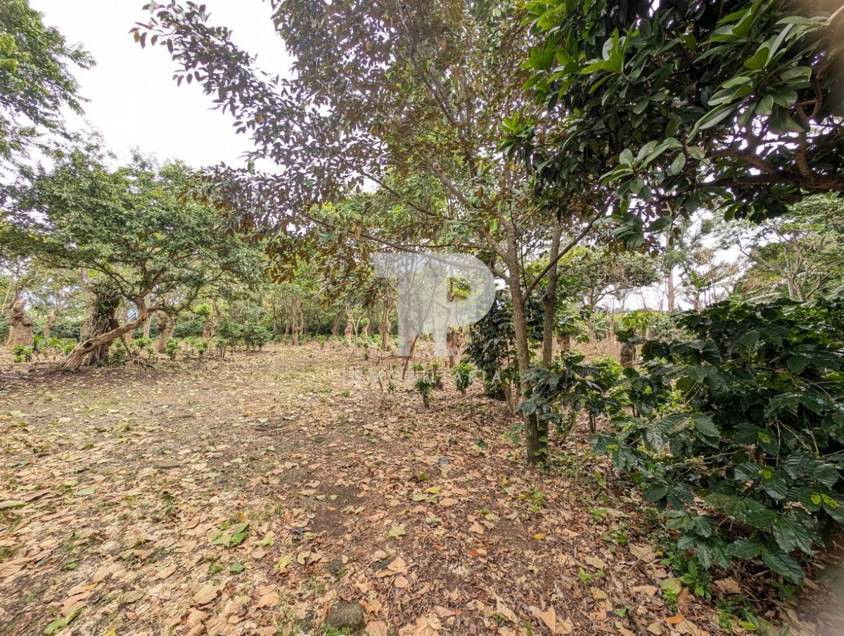 Terreno Entre San Pablo y Santo Domingo de Heredia SCG32 - Imagen 21