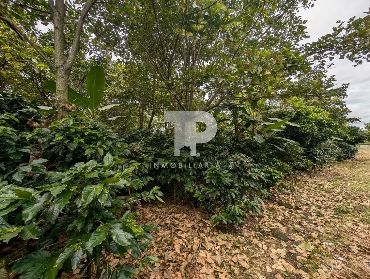 Terreno Entre San Pablo y Santo Domingo de Heredia SCG32 - Imagen 10