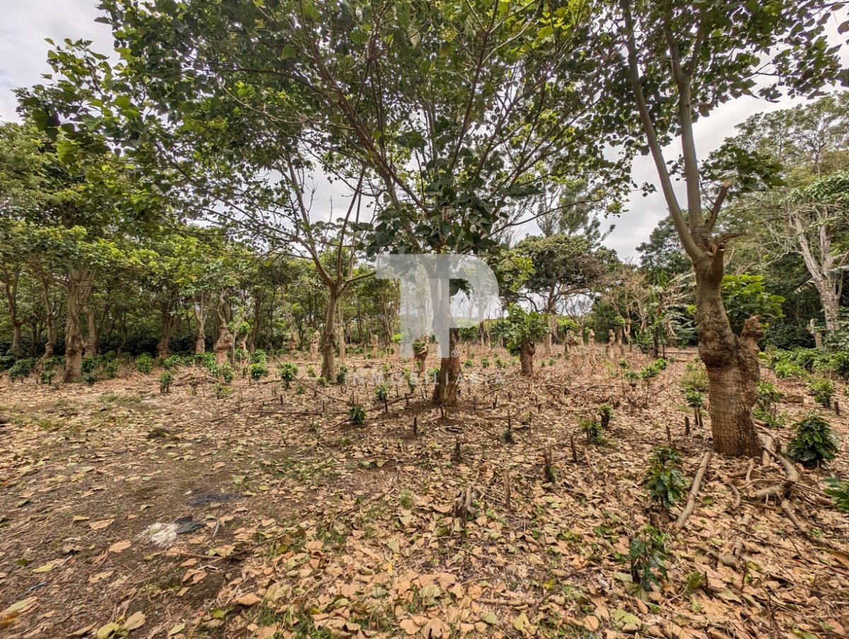 Terreno Entre San Pablo y Santo Domingo de Heredia SCG32 - Imagen 11