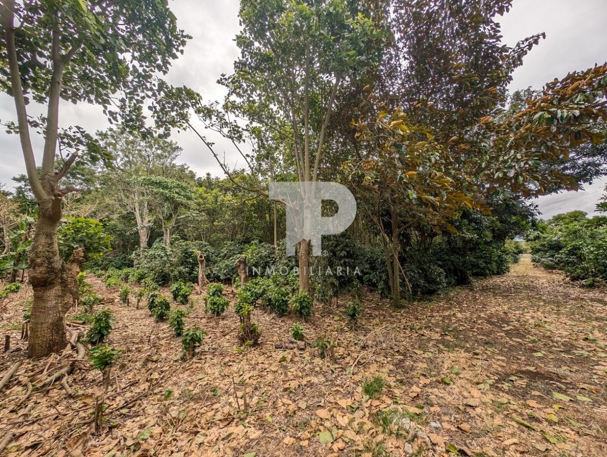 Terreno Entre San Pablo y Santo Domingo de Heredia SCG32 - Imagen 12